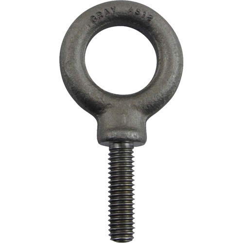 Alloy Steel Eye Bolt, 1" Dia., 1-1/4" L, 1480 lbs. (0.74 tons)/1480 lbs. Capacity Equipment World