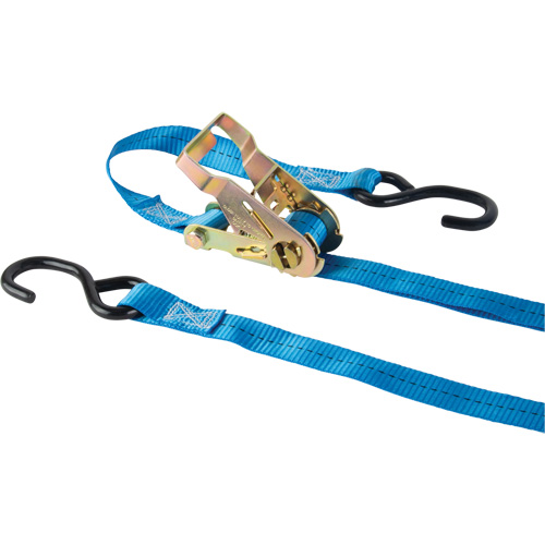 Tendeur d'arrimage &agrave; cliquet, Crochet en J, 15' , 1" , Charge d'utilisation max. 500 lb (227 kg) Equipment World