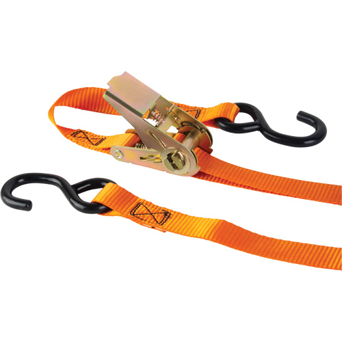 Tendeur d'arrimage &agrave; cliquet, Crochet en S, 12' , 1" , Charge d'utilisation max. 2200 lb (998 kg) Equipment World