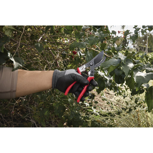 1” Angled Pruning Shears Equipment World