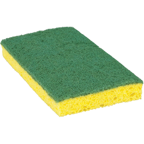 Scotch-Brite Medium Duty Scrub Sponge, Scrubbing, 3-3/5" W x 6-1/10" L Equipment World