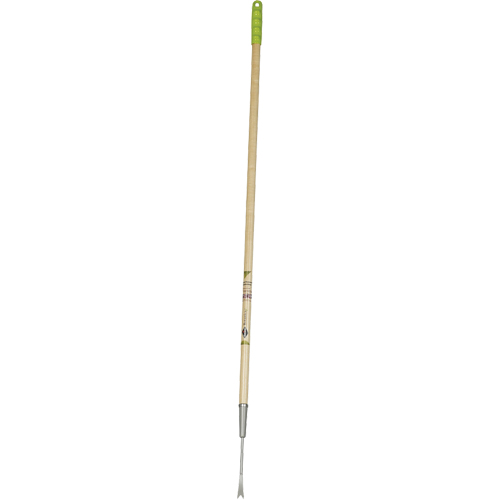 Dandelion Weeder Equipment World