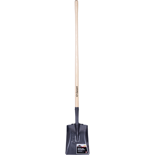 Pro Square Point Shovel, Wood, Tempered Steel Blade, Straight Handle, 48" Long Equipment World