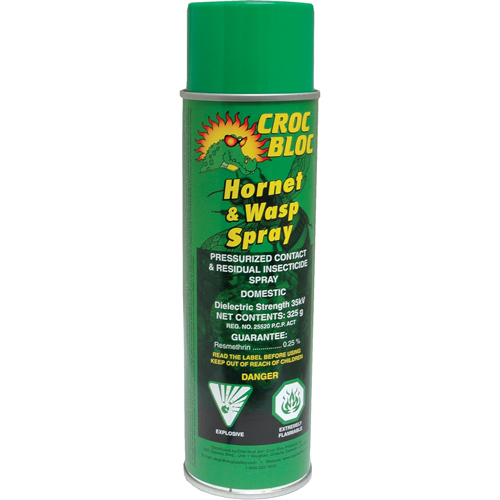 Hornet & Wasp Killer, 325 g, Aerosol Can Equipment World