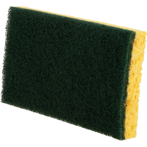 Utility Sponges, Cellulose, 6" W x 3-1/2" L Equipment World