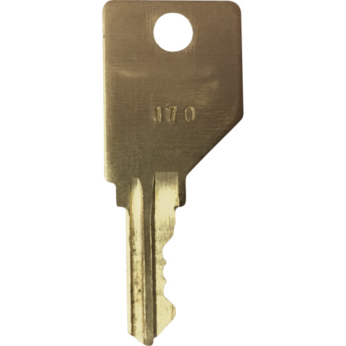 Replacement Key for Frost Smoking Receptacles Equipment World