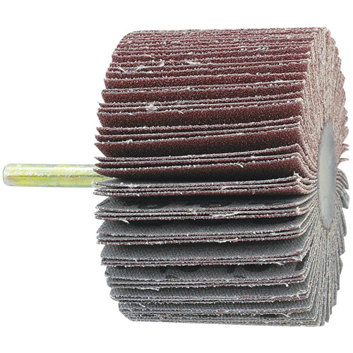 Disque &agrave; lamelles mont&eacute; sur mandrin, Grain 60, 1-1/2" x 1/4" Equipment World