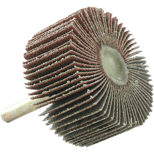 Disque &agrave; lamelles mont&eacute;, Grain 60, 2" x 1" x 1/4" Equipment World