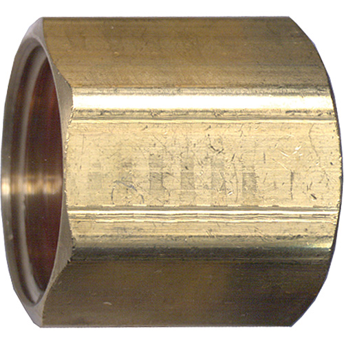 Pipe Coupling, Brass, 1/2" Equipment World