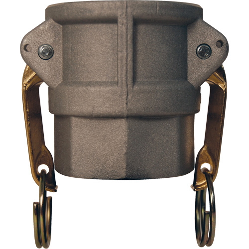 Global Cam & Groove Coupler, Aluminum, Type D, 2", Female NPT, 250 PSI Equipment World