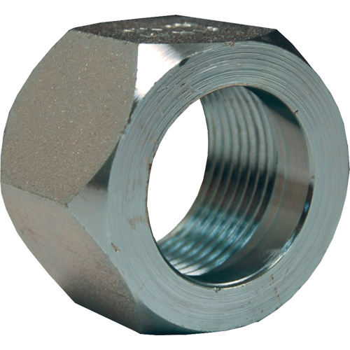 Dixon&reg; Mining Hex Nut, 1", Zinc Plated, NPT Thread Equipment World