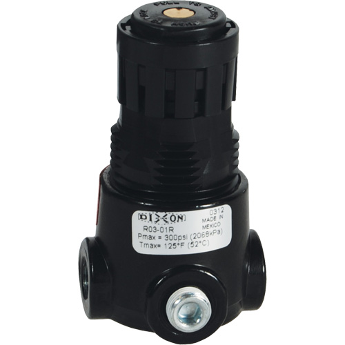 R&eacute;gulateur miniature R03 Wilkerson, 1/8" NPT, PSI max. de 300 psi, Standard Equipment World