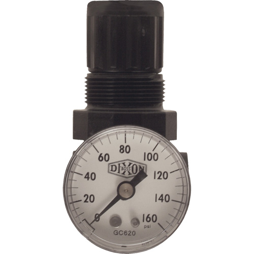 R&eacute;gulateur miniature de s&eacute;rie 1, 1/8" NPT, PSI max. de 100 psi, Standard Equipment World