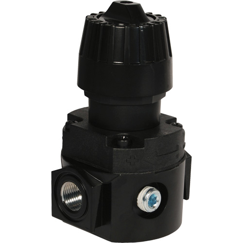 R&eacute;gulateur compact R16 Wilkerson, 1/4" NPT, PSI max. de 300 psi, Standard Equipment World