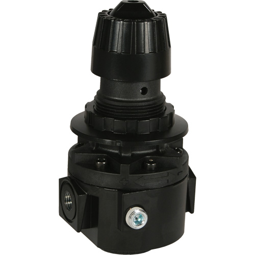 Wilkerson Regulator R26, 1/2" NPT, 300 psi Max. PSI, Standard Equipment World