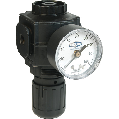Series 1 Compact Regulator, 1/2" NPT, 150 PSI Max. PSI, Standard Equipment World