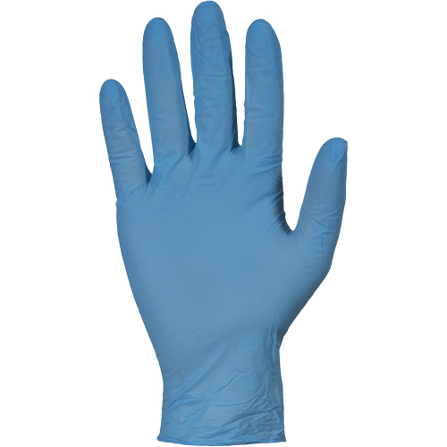 KeepKleen&reg; RDNPF Disposable Gloves, Large, Nitrile, 4-mil, Powder-Free, Blue, Class 2 Equipment World