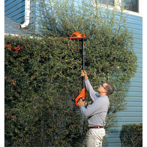 Max* Cordless Pole Hedge Trimmer Kit Equipment World