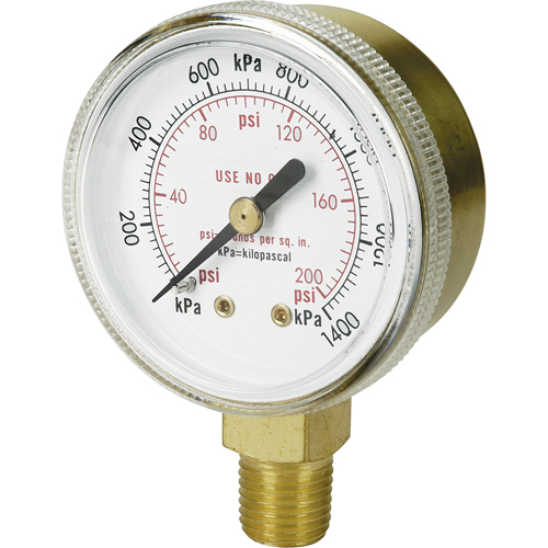 Brass Gauge, 2" , 100 psi, Bottom Mount, Analogue Equipment World