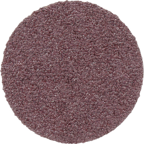 PSA Cloth Disc 348D, 20" Dia., 60 Grit, Aluminum Oxide Equipment World