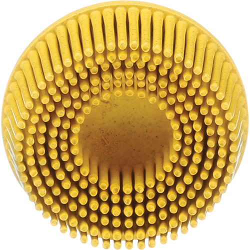Scotch-Brite Roloc Bristle Disc, Ceramic, Medium Grit, 2" Dia. Equipment World