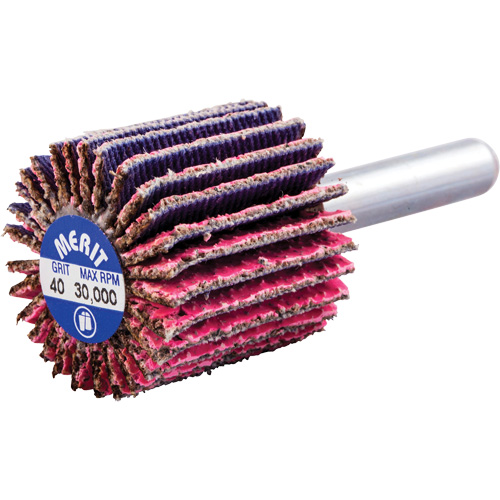 Mini-meule &agrave; lamelles mont&eacute;e sur tige, C&eacute;ramique d'alumine, Grain 40, 1" x 1" x 1/4" Equipment World