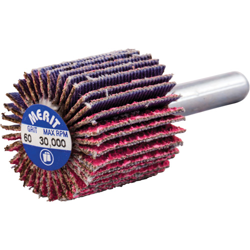 Shank Mounted Mini Flap Wheel, Ceramic Alumina, 60 Grit, 1" x 1" x 1/4" Equipment World