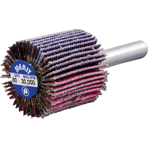 Shank Mounted Mini Flap Wheel, Ceramic Alumina, 80 Grit, 1" x 1" x 1/4" Equipment World