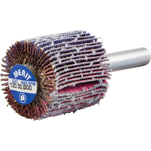 Shank Mounted Mini Flap Wheel, Ceramic Alumina, 120 Grit, 1" x 1" x 1/4" Equipment World