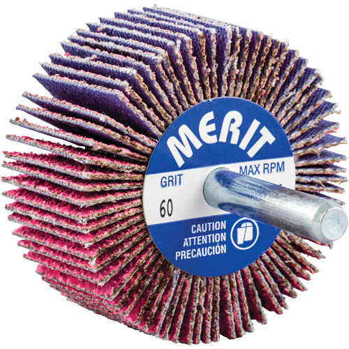 Mini-meule &agrave; lamelles mont&eacute;e sur tige, C&eacute;ramique d'alumine, Grain 60, 2" x 1" x 1/4" Equipment World