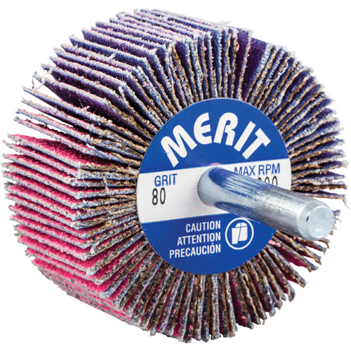 Shank Mounted Mini Flap Wheel, Ceramic Alumina, 80 Grit, 2" x 1" x 1/4" Equipment World