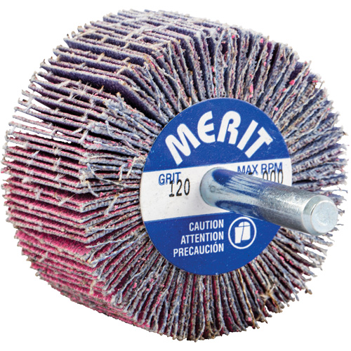 Mini-meule &agrave; lamelles mont&eacute;e sur tige, C&eacute;ramique d'alumine, Grain 120, 2" x 1" x 1/4" Equipment World