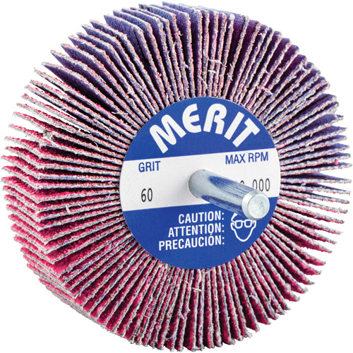 Mini-meule &agrave; lamelles mont&eacute;e sur tige, C&eacute;ramique d'alumine, Grain 60, 3" x 1" x 1/4" Equipment World