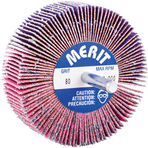 Shank Mounted Mini Flap Wheel, Ceramic Alumina, 80 Grit, 3" x 1" x 1/4" Equipment World