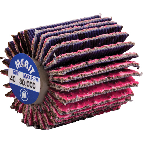 Threaded Mini Flap Wheel, Ceramic Alumina, 40 Grit, 1" x 1" x 1/4"-20 Equipment World