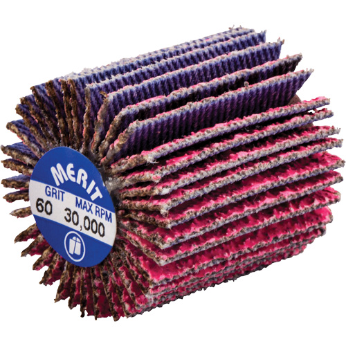 Threaded Mini Flap Wheel, Ceramic Alumina, 60 Grit, 1" x 1" x 1/4"-20 Equipment World