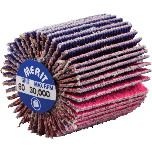 Threaded Mini Flap Wheel, Ceramic Alumina, 80 Grit, 1" x 1" x 1/4"-20 Equipment World