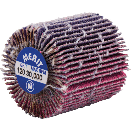 Threaded Mini Flap Wheel, Ceramic Alumina, 120 Grit, 1" x 1" x 1/4"-20 Equipment World