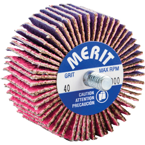 Threaded Mini Flap Wheel, Ceramic Alumina, 40 Grit, 2" x 1" x 1/4"-20 Equipment World