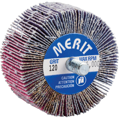 Threaded Mini Flap Wheel, Ceramic Alumina, 120 Grit, 2" x 1" x 1/4"-20 Equipment World