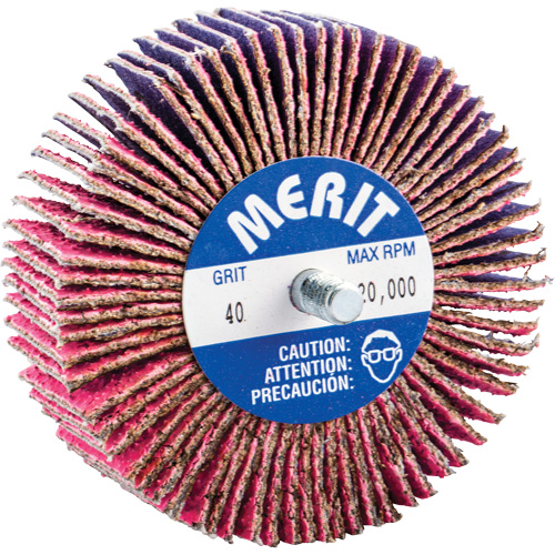 Threaded Mini Flap Wheel, Ceramic Alumina, 40 Grit, 3" x 1" x 1/4"-20 Equipment World