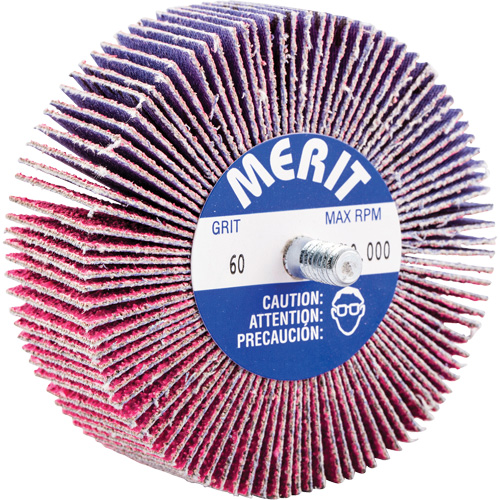 Threaded Mini Flap Wheel, Ceramic Alumina, 60 Grit, 3" x 1" x 1/4"-20 Equipment World