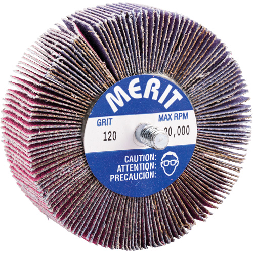 Mini-meule &agrave; lamelles filet&eacute;es, C&eacute;ramique d'alumine, Grain 120, 3" x 1" x 1/4"-20 Equipment World