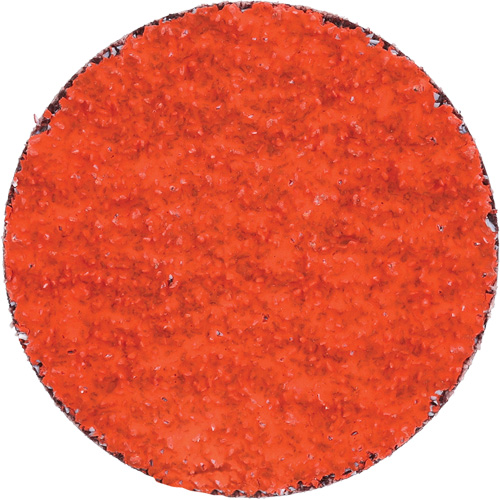 Blaze R980P Quick-Change Cloth Disc, 2" Dia., 36 Grit, Ceramic Alumina Equipment World