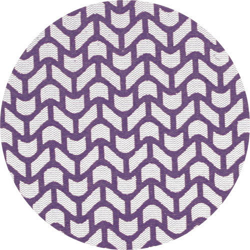 Xtract Cubitron II Net Disc, 5" Dia., 220 Grit, Ceramic Equipment World