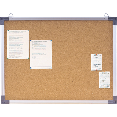 Corkboard, 18" H x 24" W Equipment World