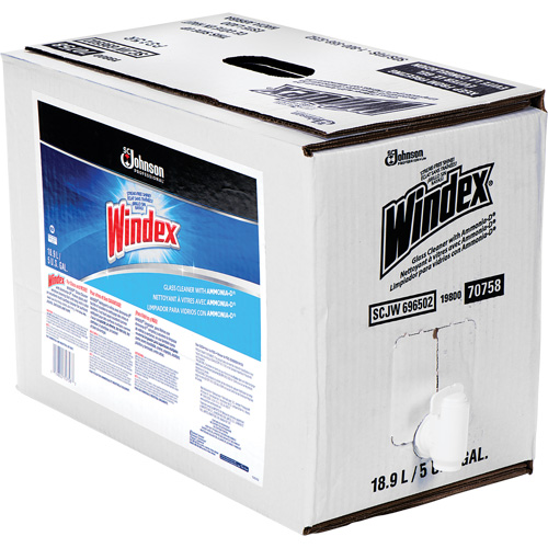 Windex&reg; Glass Cleaner with Ammonia-D&reg;, 5 gal., Bag Equipment World