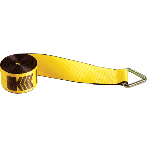 Winch Straps, Delta Ring, 4" W x 30' L, 5400 lbs. (2450 kg) Working Load Limit Equipment World