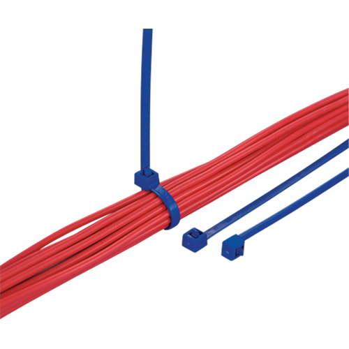 Metal Detectable Cable Ties, 15-2/5" L, 50 lbs. Tensile Strength Equipment World