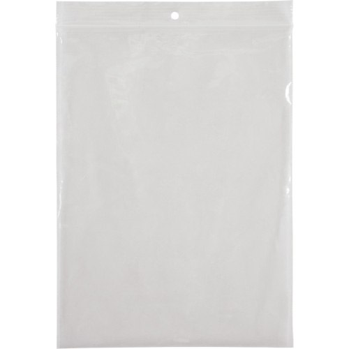 Poly Bags, Reclosable, 8" x 6", 2 mils Equipment World